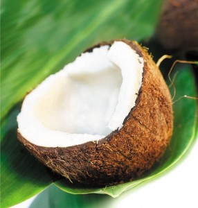 fresh mature coconut